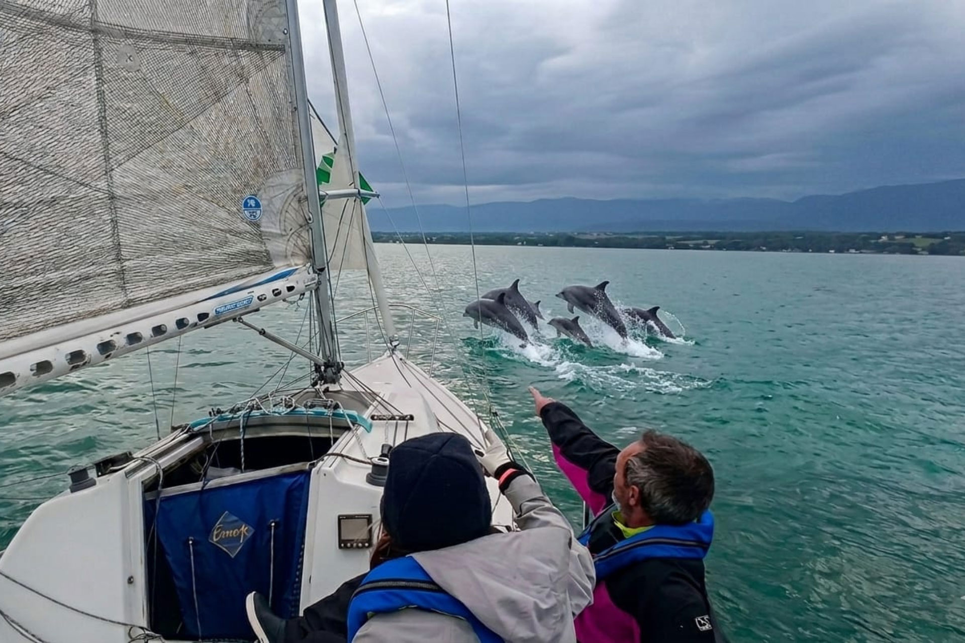 Élèves de l'École de Voile du Club Nautique de Crans observant un dauphin dans le Léman