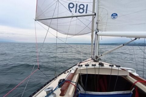 Cours du Soir Adulte sur Suprise : Débutants, Intermédiaires et Confirmés