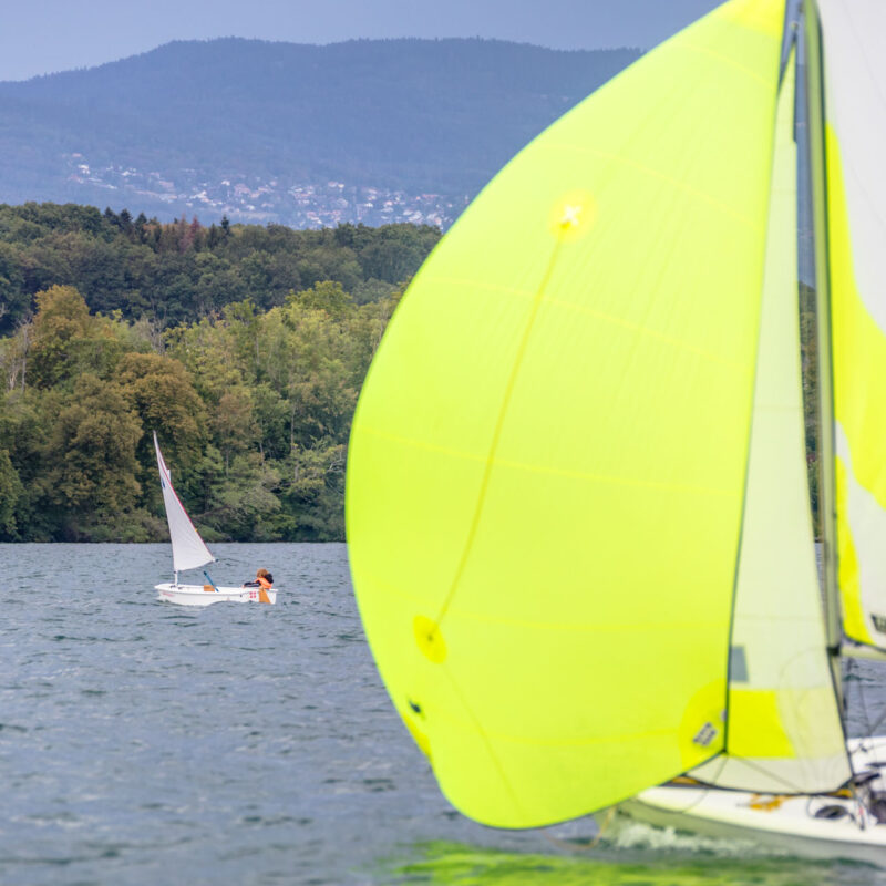 Camps d'été et Stages Printemps-Automne de RS FEVA
