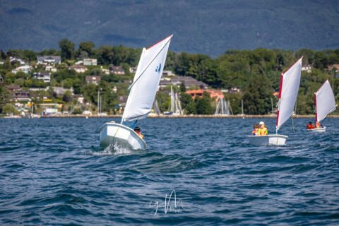Camps d'été et Stages Printemps-Automne d'Optimist